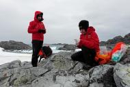 Cientistas chilenos colhem amostras para estudar "superbactérias" na Antártica, no dia 3 de fevereiro de 2015