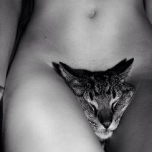 Pic of the Day - Page 10 Candice-swanepoel-instagram-naked-with-cat-vagina-picture-handbag