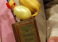 O prêmio Ig Nobel foi concedido a japoneses que descobriram o "coeficiente de fricção da casca de banana" ao ser pisada e espanholas que propõem fabricar salsichas nutritivas com excrementos de bebês