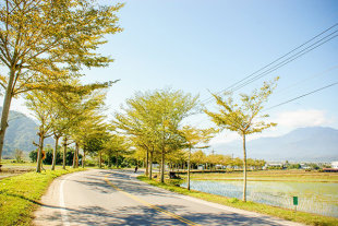 花蓮193縣道 (圖片來源／花東縱谷國家風景區管理處)