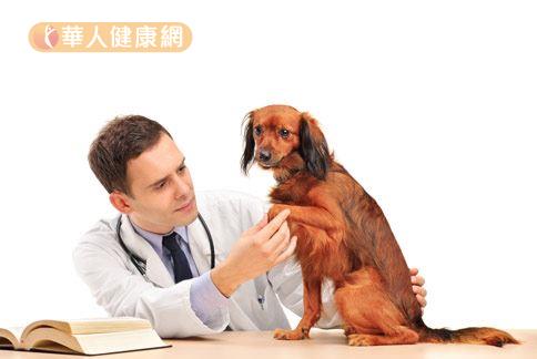 飼養寵物要注意衛生，尤其貓犬身上有多達23種寄生蟲，稍有不注意容易遭到感染。