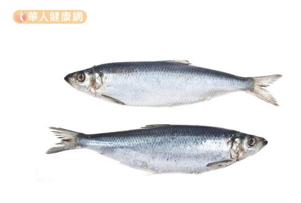 國人較少吃到的鯡魚，其實也富含Omega-3脂肪酸。