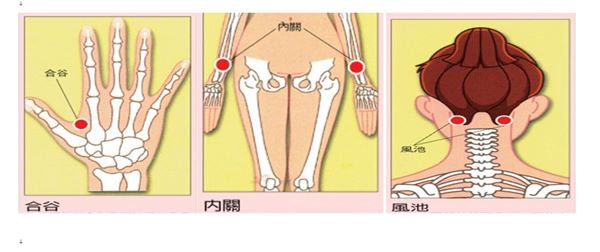 (圖片提供／台灣基層中醫師協會)