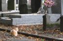 VIDEO. Essonne: Un maire refuse l'inhumation d'un bébé rom «par manque de place»