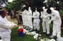 Volunteers prepare to remove the bodies of people who were suspected of contracting Ebola and died in the community in the village of Pendebu