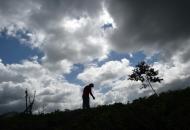 Un campesino fertiliza las tierras en El Ciprián, Herrera, Panamá, el 25 de noviembre de 2015