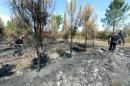 Gironde: l'incendie de Saint-Jean d'Illac &quot;est éteint&quot;