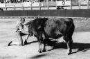 Años 30.- El diestro sevillano Ignacio Sánchez Mejías en un pase de rodillas durante una corrida de toros. EFE