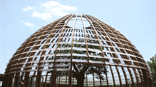 Amity building in Insurgent
