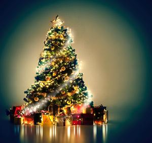 By the Numbers: Christmas Tree Buying Trends According to Yahoo and Square