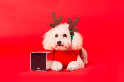 Gift Ideas: 10 Great Gadgets for Pet Lovers