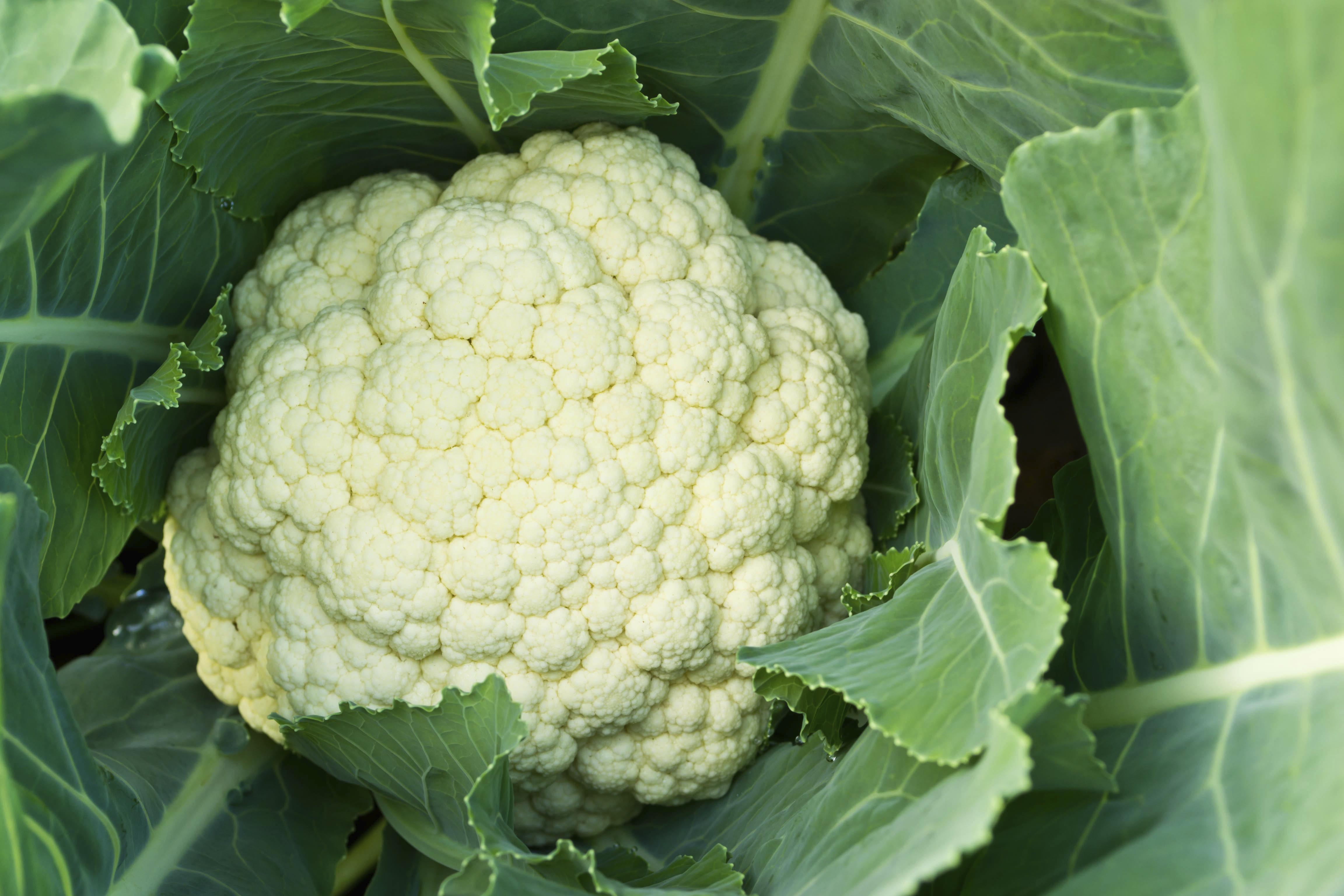 Cauliflower Leaves | 11 Fruit and Veggie Parts You Shouldn ...