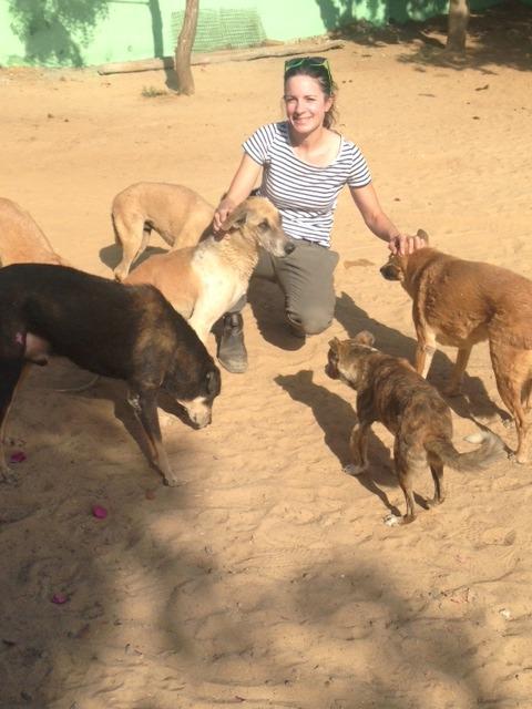 I Gave Up My Life in London To Save Street Dogs in India
