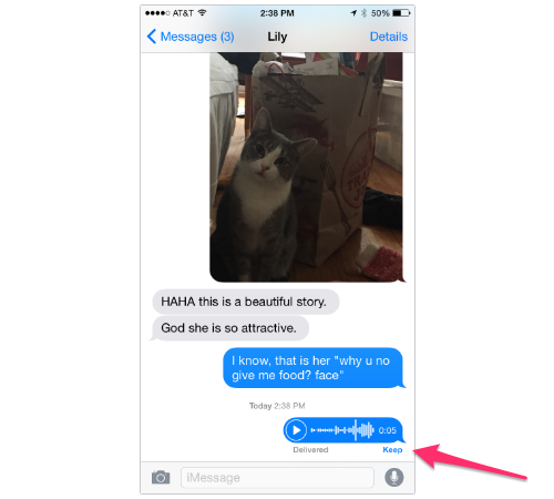 Keep option for audio messages in iOS 8