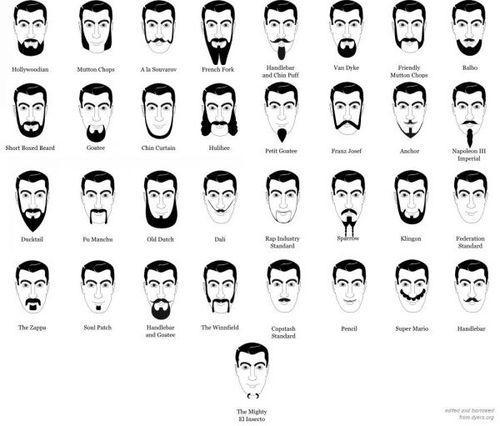 Beard Personality Chart