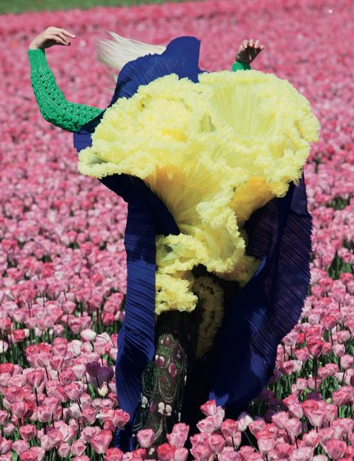 VIVIANE SASSEN FOR 'S MAX MARA