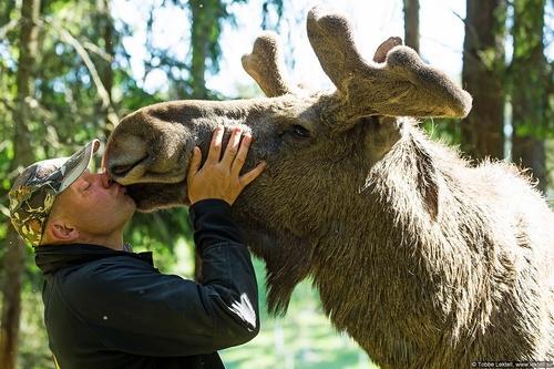 Meet The Man Who Sleeps With Moose — And You Can Too 