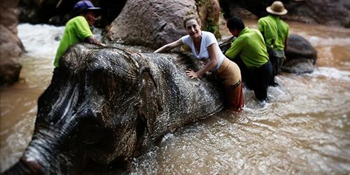 WATCH: Spend the Best Day of Your Life in an Elephant Retirement Home