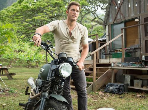 Proof That Chris Pratt Is Perfect for Indiana Jones