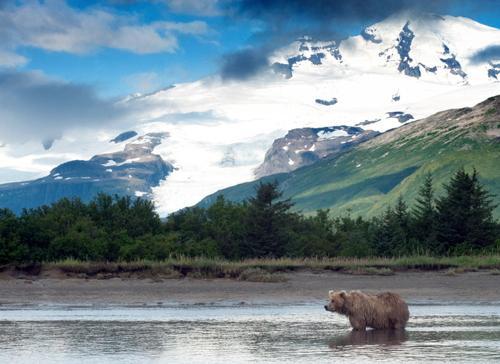 8 Money-Saving Tips for Road-Tripping Alaska