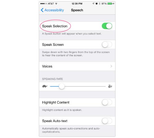 Speak Selection turned on on an iPhone