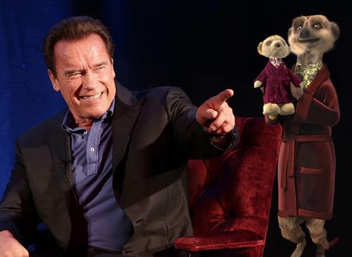 Arnold Schwarzenegger To Become The New Face Of Compare The Market