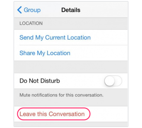 Details screen in Messages app