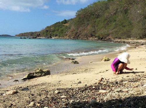 Culebra Island: The Hidden Gem of Puerto Rico with Something for Everyone