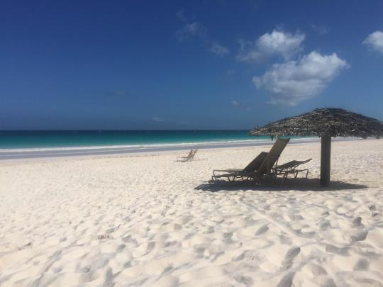 Purchasing Cigars on St Barts  SBHonline St Barts Vacations