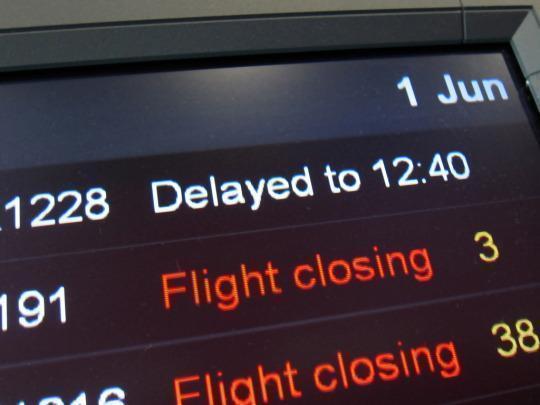 Flight Canceled Freebird Helps You Book a New Flight for Free