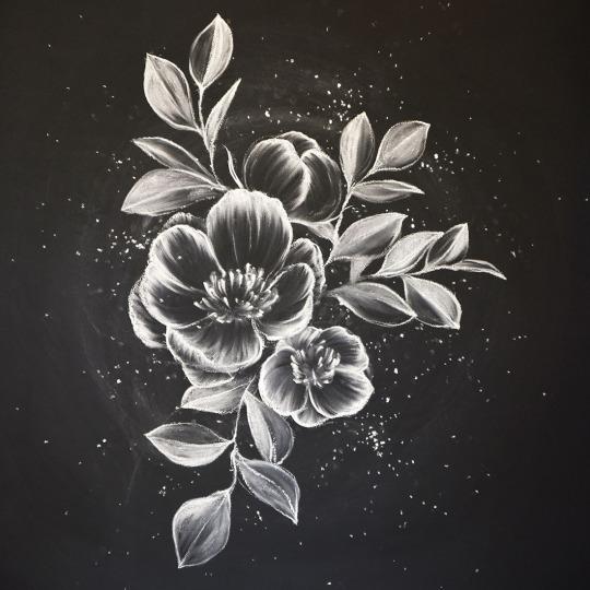 chalk drawings on black paper