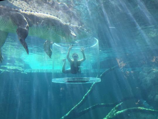 WATCH: Inside the Cage of Death: Face to Face With Australia’s Monster Crocs