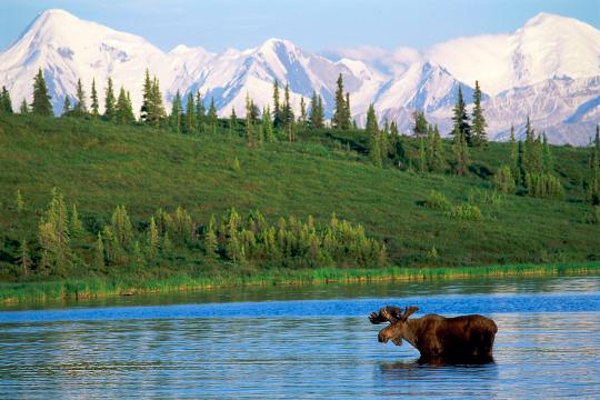 Wow! A State-by-State Guide of America's Natural Wonders