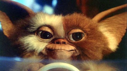 5 Things You Might Not Know About Joe Dante's 'Gremlins' – IndieWire