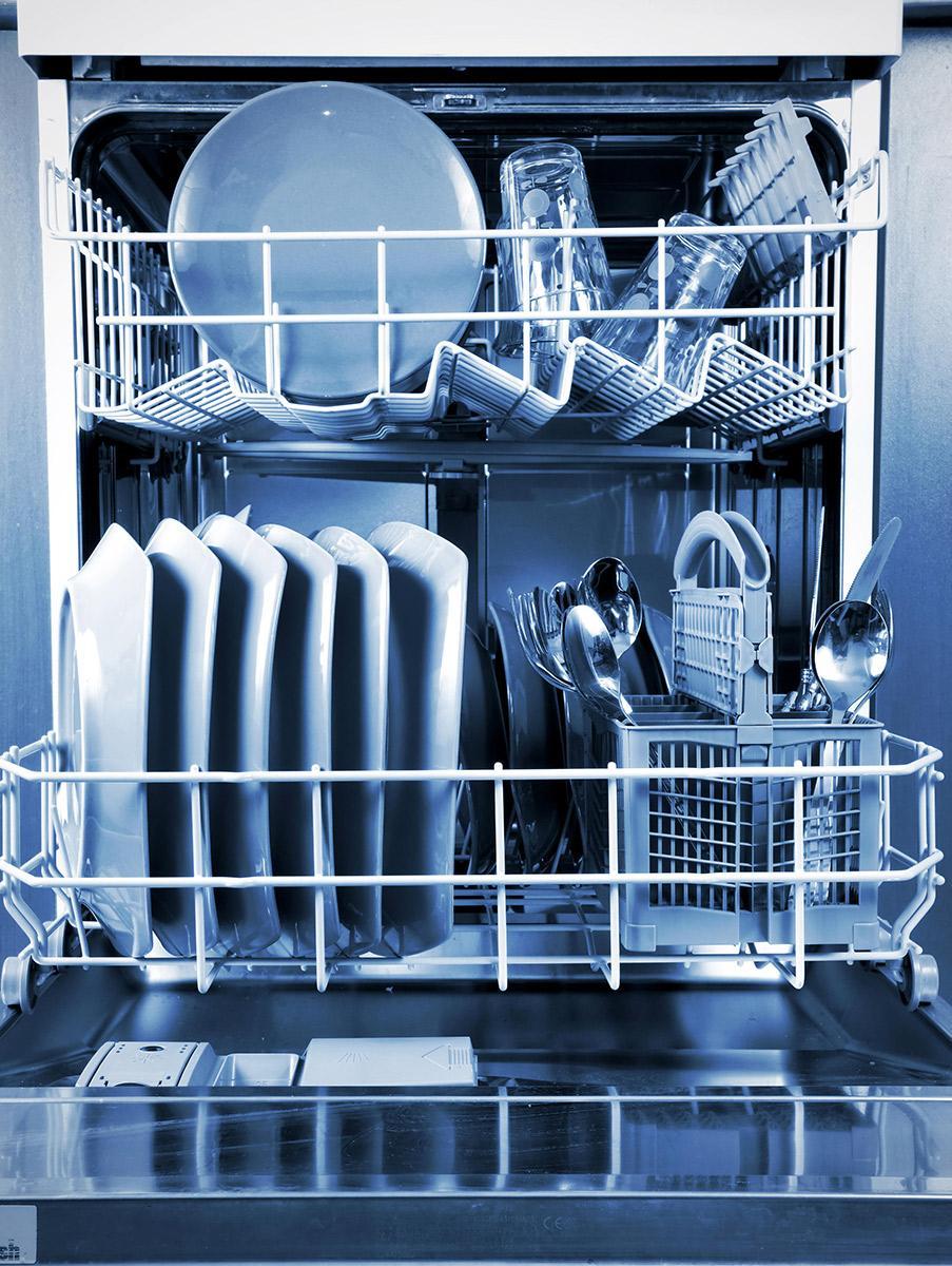 How to Cook a Meal in Your Dishwasher