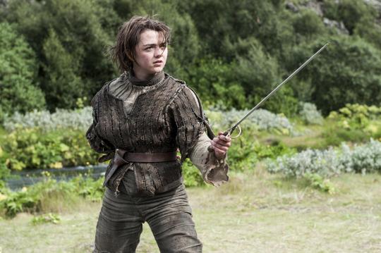 Arya Holes