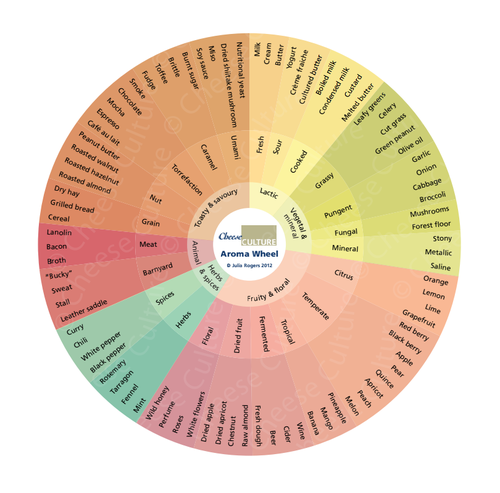 flavor-wheels-help-you-describe-the-taste-of-everything-party-trick