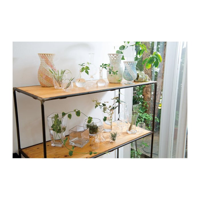 《齊洛瓦鄉村風雜貨》日本paseo 透明玻璃花瓶 玻璃花器 (細長款)