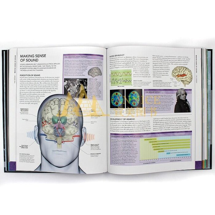 眾誠優品 正版書籍DK大腦百科 The Brain Book 圖解大腦結構 探索人類腦部系統 生命科學科普指南 英文原版 宣美SJ2775
