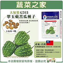 【蔬菜之家滿額免運】大包裝G203.翠玉蘋苦瓜種子9顆 專業栽培品種 早生，豐產，果面珍珠粒的綠蘋果苦瓜