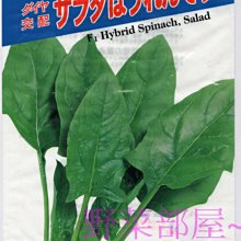 【野菜部屋~中包裝】A06 沙拉菠菜種子225公克 , 可生食品種 , 每包290元~