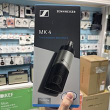 禾豐音響 【現貨】公司貨 唱歌 SENNHEISER MK 4 電容 心形 錄音 XLR 麥克風 錄音室 人聲 樂器