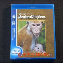 [藍光BD] - 猴王國 Monkey Kingdom ( 得利公司貨 )