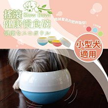 【阿肥寵物生活】台灣精品-ACEPET 愛思沛搖滾健康慢食碗 // 犬 貓皆可使用