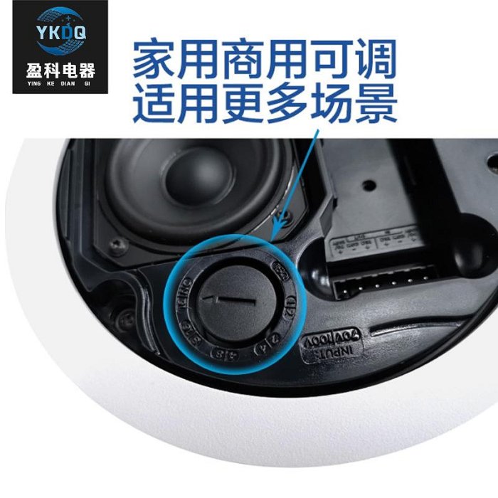 Bose/博士 FS2C家庭背景音樂套裝嵌入式喇叭吸頂隱藏吊頂音響-麵包の店