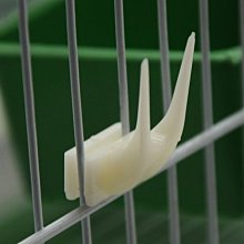 【阿肥寵物生活】塑膠水果叉／可隨意掛在籠子的任何位置／蜜袋鼯也適用