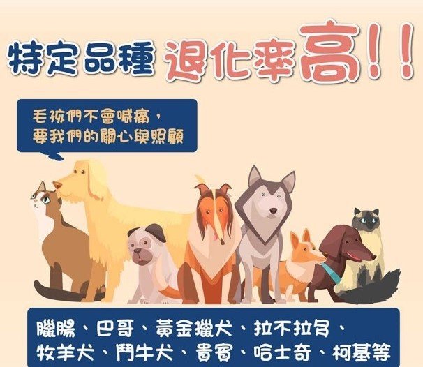 《小鹿百貨》pettoe小華陀 全齡犬貓行動營養複方1盒30包  添加龜鹿漢方基底 貓犬保健品 毛孩保健品 小狗骨骼保健