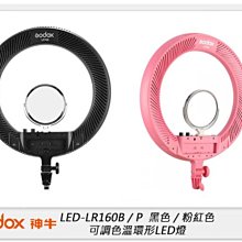 Godox神牛 LR160 可調色溫 19.4吋 LED環形燈 直播 遠距教學 視訊 補光燈 美妝 紋繡 彩妝 新秘