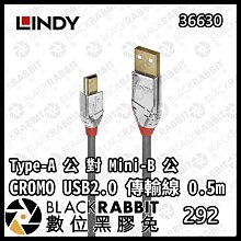 數位黑膠兔【 LINDY林帝 36630 CROMO USB2.0 Type-A公對Mini-B公 傳輸線 0.5m 】