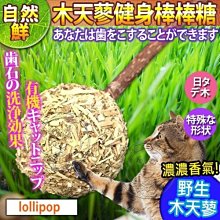 【🐱🐶培菓寵物48H出貨🐰🐹】自然鮮系列》木天蓼健身棒棒糖貓玩具NF-022 特價88元